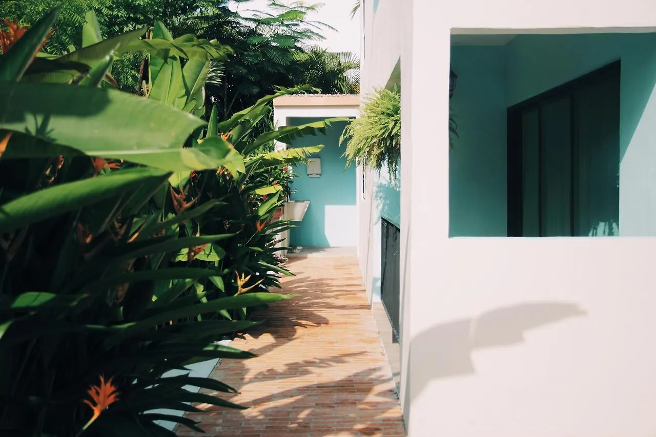 San Tropico Boutique Hotel & Peaceful Escape  Puerto Vallarta